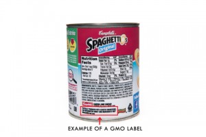 F160471_SpaghettiOs_New_Labels-0091