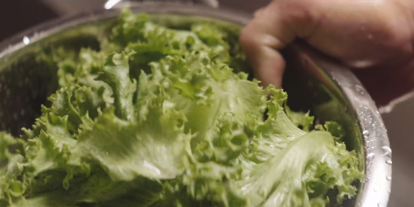 McDonald's lettuce drying